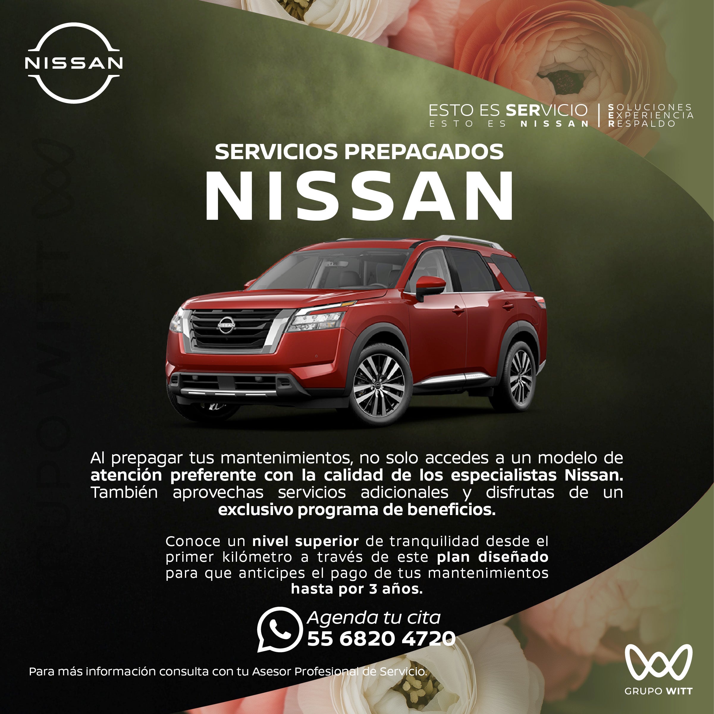 SERVICIOS PREPAGADOS